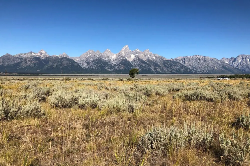 Project in GTNP