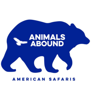 Animals abound
