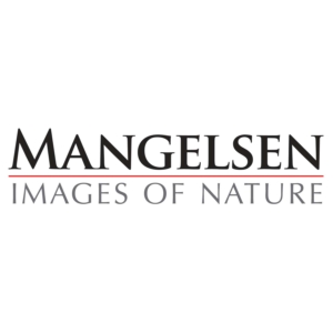 Mangelsen