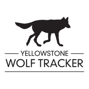 Yellowstone Wolf Tracker